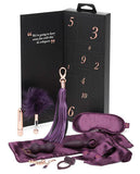 Fifty Shades Freed Pleasure Overload 10 Days Of Play Gift Set