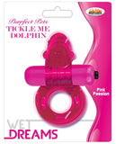 Wet Dreams Purrfect Pet Tickle Me Dolphin