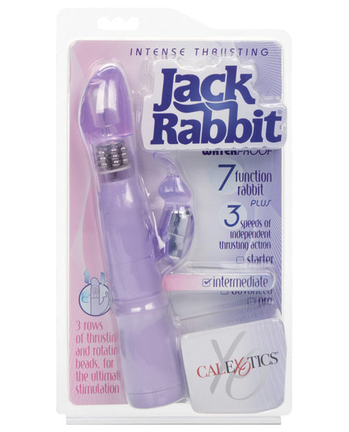 Jack Rabbit Intense Thrusting - Purple