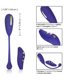 Impulse Intimate E-stimulator Remote Kegel Exerciser