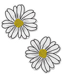 Pastease Wildflower - White-yellow O-s