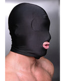 Master Series Disguise Open Mouth Hood With Padded Blindfold