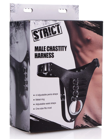 Strict Male Chasity Harness